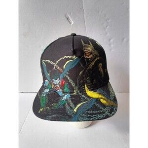 Batman Robin Snapback Hat AOP Graphic Print Black Adjustable Baseball Cap